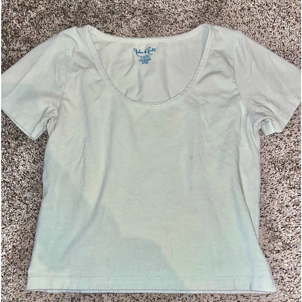 john galt / brandy melville sage green baby tee